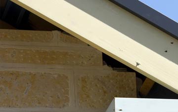 soffit repair Whittonditch