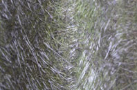 Whittonditch fibreglass roof work